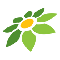 LINK SURYA138
